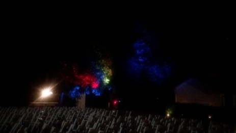 Proiezione su alberi con luci a led