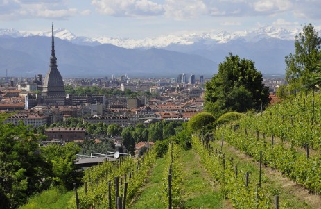 Torino Panorama