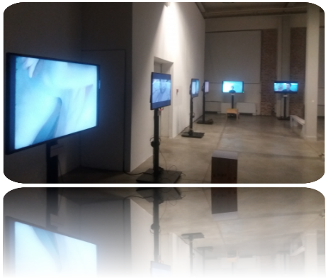 Multi Monitor per Mostre e Musei